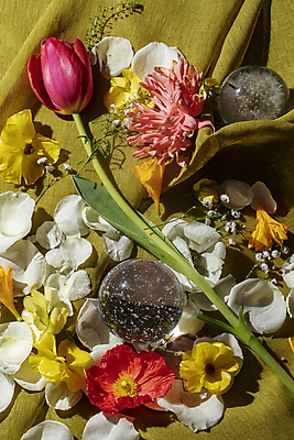 포토 JPG 꽃잎 백그라운드 사람없음 튤립 천 유리구슬 국내포토 꽃 유리 직물 구슬 파일형식