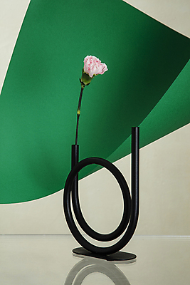 포토 JPG 회색배경 사람없음 초록색 카네이션 오브젝트 조형 녹색배경 국내포토 꽃 컬러 백그라운드 회색 파일형식