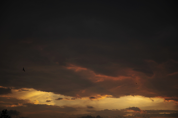 포토 JPG 구름 하늘 사람없음 야외 주황색 일몰 국내포토 자연요소 컬러 노을 파일형식