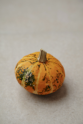 포토 JPG 회색배경 호박 근접촬영 사람없음 주황색 오브젝트 국내포토 뷰포인트 컬러 백그라운드 채소 회색 파일형식