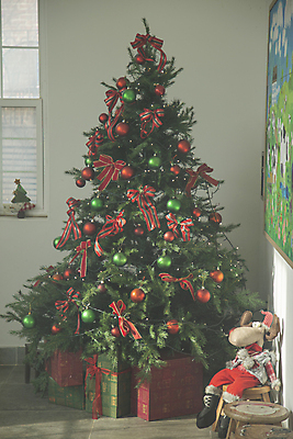 포토 JPG 크리스마스장식 겨울 실내 사람없음 선물상자 크리스마스트리 포근함 동물인형 국내포토 계절 인형 크리스마스 선물 내부 상자 감각 파일형식