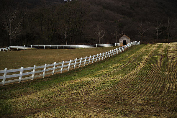 포토 JPG 자연 주택 풍경 초원 사람없음 야외 울타리 국내포토 건물 담장 생태계 파일형식