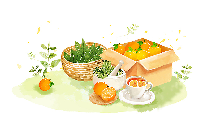 PSD 일러스트 수채화 사람없음 봄 찻잔 한라봉 찻잎 쑥 과일차 봄배경 국내일러스트 계절 백그라운드 채소 과일 잔 차_음료 파일형식