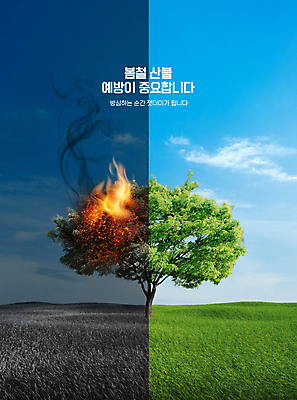 PSD 나무 편집이미지 하늘 경고 사람없음 초록색 파란색 봄 비교 연기 예방 산불 화재예방 이미지편집 식물 계절 컬러 컨셉 화재 파일형식