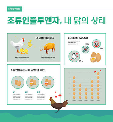 일러스트 조류 병아리 사람없음 초록색 계란 인포그래픽 닭 소 감염 조류독감 조류인플루엔자 국내일러스트 AI파일 동물 컬러 포유류 알 전염병 파일형식 벡터