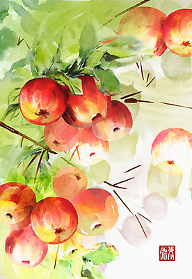 PSD 상징 일러스트 나뭇잎 수채화 사람없음 꿈 사과 사과나무 상징물 국내일러스트 나무 잎 과일 파일형식