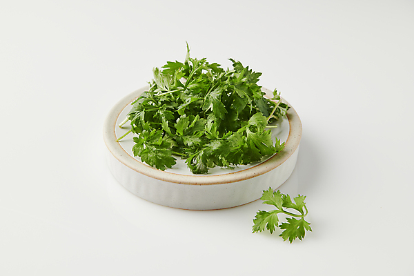 포토 JPG 스튜디오촬영 사람없음 봄 흰배경 쑥 국내포토 계절 백그라운드 채소 실내 흰색 파일형식