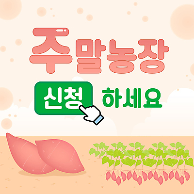 분홍색 사람없음 농사 PPT 프레젠테이션 고구마 커서 주말농장 텃밭 애니형PPT 신청 모션그래픽 MP4 모션템플릿 템플릿 컬러 밭 농업 뿌리채소 농장 동영상 파일형식