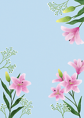 PSD 하늘색 백그라운드 일러스트 사람없음 백합 안개꽃 국내일러스트 꽃 파란색 한해살이풀 파일형식