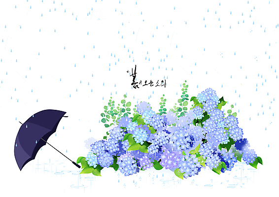 PSD 일러스트 사람없음 파란색 봄 비 수국 국내일러스트 자연요소 계절 꽃 컬러 날씨 파일형식