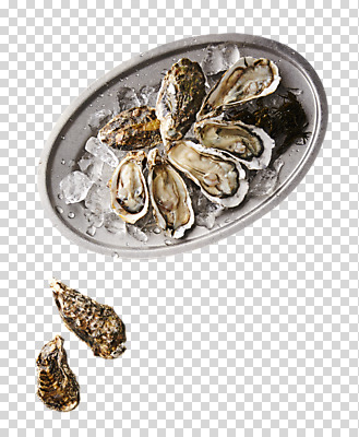 편집이미지 접시 누끼 사람없음 얼음 굴 해산물 PNG 자연요소 식기 어패류 파일형식