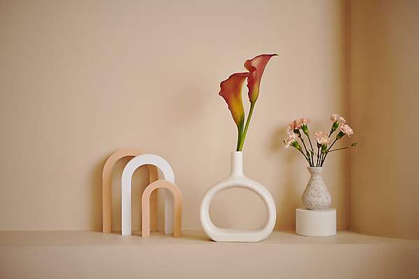 포토 JPG 백그라운드 실내 사람없음 꽃병 편안함 카네이션 카라 오브젝트 감성 국내포토 꽃 컨셉 내부 감각 파일형식