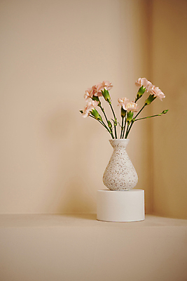 포토 JPG 백그라운드 실내 사람없음 꽃병 편안함 카네이션 오브젝트 감성 국내포토 꽃 컨셉 내부 감각 파일형식