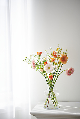 포토 JPG 백그라운드 실내 사람없음 장미 꽃병 오브젝트 소국 감성 거베라 국내포토 꽃 컨셉 내부 파일형식