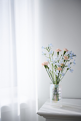 포토 JPG 백그라운드 실내 사람없음 꽃병 카네이션 오브젝트 감성 국내포토 꽃 컨셉 내부 파일형식