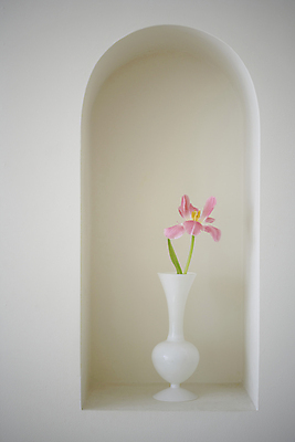 포토 JPG 백그라운드 실내 사람없음 꽃병 튤립 오브젝트 감성 국내포토 꽃 컨셉 내부 파일형식