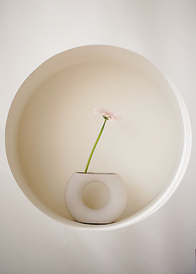 포토 JPG 백그라운드 국화 실내 사람없음 꽃병 원형 오브젝트 감성 국내포토 도형 꽃 컨셉 내부 파일형식