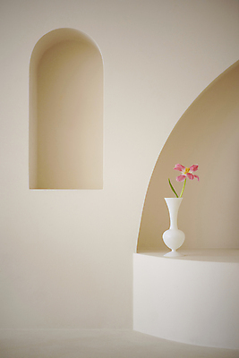 포토 JPG 백그라운드 실내 사람없음 꽃병 튤립 오브젝트 감성 국내포토 꽃 컨셉 내부 파일형식