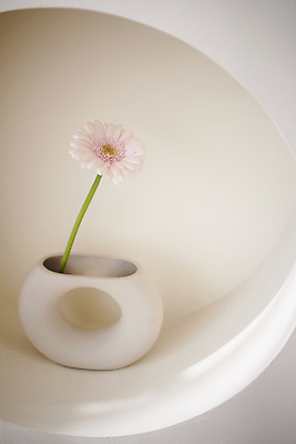 포토 JPG 백그라운드 실내 사람없음 꽃병 오브젝트 감성 거베라 국내포토 꽃 컨셉 내부 파일형식