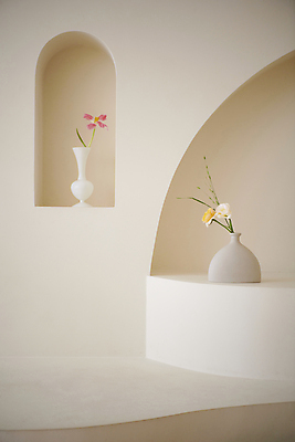 포토 JPG 백그라운드 실내 사람없음 장미 꽃병 튤립 오브젝트 감성 국내포토 꽃 컨셉 내부 파일형식