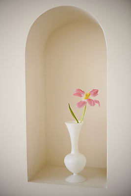 포토 JPG 백그라운드 실내 사람없음 꽃병 튤립 오브젝트 감성 국내포토 꽃 컨셉 내부 파일형식