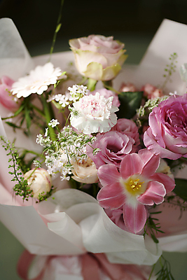 포토 JPG 꽃다발 백그라운드 국화 실내 근접촬영 사람없음 장미 감성 거베라 국내포토 꽃 뷰포인트 컨셉 내부 파일형식