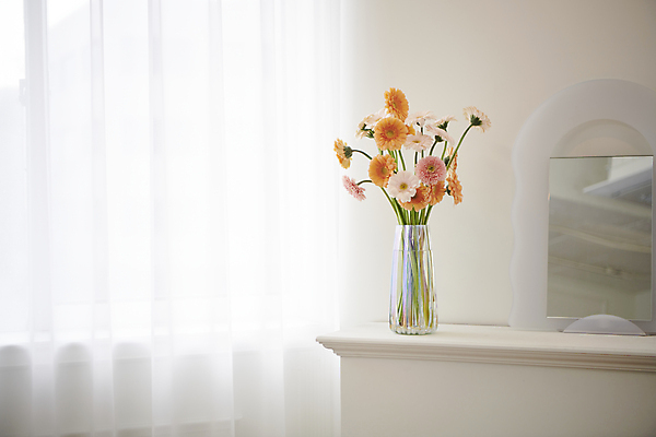 포토 JPG 백그라운드 국화 실내 사람없음 꽃병 오브젝트 감성 거베라 국내포토 꽃 컨셉 내부 파일형식