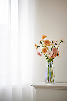 포토 JPG 백그라운드 국화 실내 사람없음 꽃병 오브젝트 감성 거베라 국내포토 꽃 컨셉 내부 파일형식