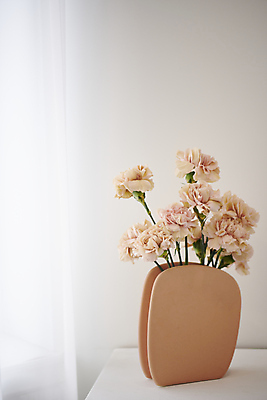 포토 JPG 백그라운드 실내 사람없음 장미 오브젝트 감성 국내포토 꽃 컨셉 내부 파일형식