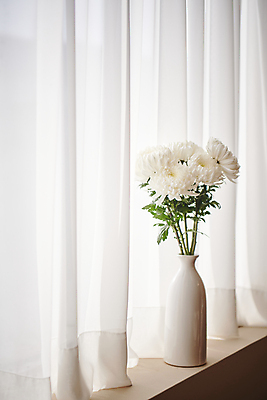 포토 JPG 백그라운드 국화 실내 사람없음 꽃병 오브젝트 감성 위로 추모 국내포토 꽃 컨셉 내부 파일형식