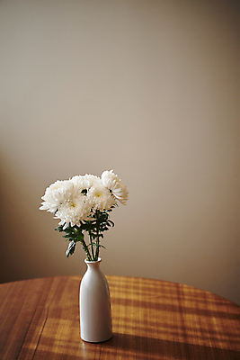 포토 JPG 백그라운드 국화 실내 사람없음 꽃병 오브젝트 감성 위로 추모 국내포토 꽃 컨셉 내부 파일형식