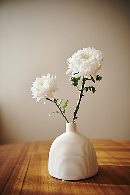 포토 JPG 백그라운드 국화 실내 사람없음 꽃병 오브젝트 감성 위로 추모 국내포토 꽃 컨셉 내부 파일형식