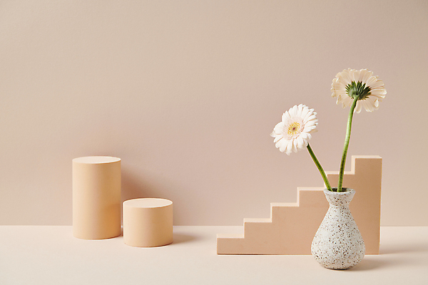 포토 JPG 스튜디오촬영 백그라운드 사람없음 모형 계단 꽃병 원형 오브젝트 원기둥 감성 거베라 국내포토 도형 꽃 컨셉 실내 파일형식