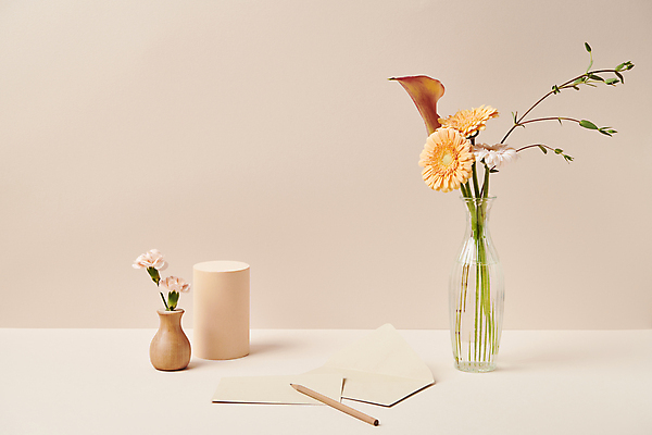 포토 JPG 스튜디오촬영 종이 백그라운드 국화 사람없음 꽃병 카라 오브젝트 감성 국내포토 꽃 컨셉 실내 파일형식