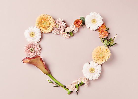 포토 JPG 스튜디오촬영 꽃 백그라운드 프레임 사람없음 하트 오브젝트 감성 카피스페이스 국내포토 모양 식물 컨셉 실내 공백 파일형식