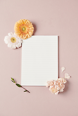 포토 JPG 스튜디오촬영 종이 백그라운드 프레임 사람없음 오브젝트 감성 거베라 카피스페이스 국내포토 꽃 컨셉 실내 공백 파일형식