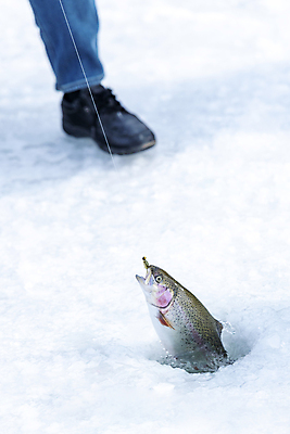 포토 JPG 겨울 발 이벤트 신체부위 얼음 축제 구멍 강원도 빙판 얼음낚시 송어 송어축제 지역축제 국내포토 자연요소 계절 낚시 한국 어류 사람 파일형식