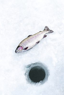포토 JPG 주간 겨울 이벤트 사람없음 야외 하이앵글 얼음 축제 구멍 강원도 빙판 얼음낚시 송어 송어축제 지역축제 국내포토 자연요소 계절 뷰포인트 낚시 한국 어류 파일형식
