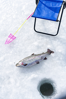 포토 JPG 주간 겨울 이벤트 사람없음 야외 얼음 축제 구멍 낚싯대 강원도 빙판 얼음낚시 송어 송어축제 지역축제 국내포토 자연요소 계절 낚시 한국 어류 낚시용품 파일형식