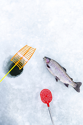 포토 JPG 주간 겨울 이벤트 사람없음 야외 얼음 축제 구멍 낚싯대 강원도 빙판 얼음낚시 송어 송어축제 지역축제 국내포토 자연요소 계절 낚시 한국 어류 낚시용품 파일형식