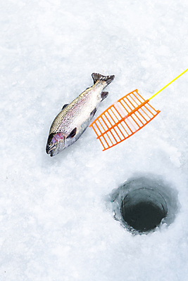 포토 JPG 주간 겨울 이벤트 사람없음 야외 하이앵글 얼음 축제 구멍 낚싯대 강원도 빙판 얼음낚시 송어 송어축제 지역축제 국내포토 자연요소 계절 뷰포인트 낚시 한국 어류 낚시용품 파일형식
