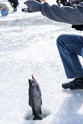 포토 JPG 주간 손 겨울 들기 이벤트 야외 신체부위 얼음 축제 다리 구멍 낚싯대 강원도 빙판 팔 얼음낚시 송어 송어축제 지역축제 국내포토 자연요소 계절 모션 낚시 한국 어류 사람 낚시용품 파일형식
