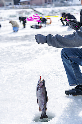 포토 JPG 주간 남자 겨울 한명 들기 이벤트 성인 야외 앞모습 아웃포커스 30대 얼음 축제 한국인 구멍 낚싯대 강원도 빙판 얼음낚시 송어 송어축제 성인남자한명만 지역축제 국내포토 자연요소 1 계절 뷰포인트 모션 낚시 한국 촬영기법 어류 사람 동양인 장년 낚시용품 남자한명만 성인남자만 파일형식