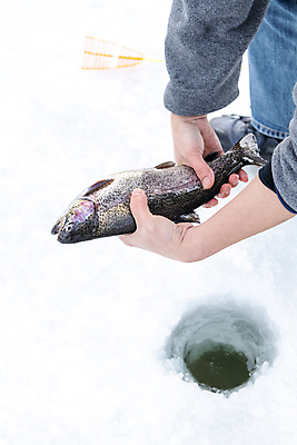 포토 JPG 주간 손 겨울 이벤트 야외 신체부위 얼음 축제 잡기 구멍 강원도 빙판 얼음낚시 송어 송어축제 지역축제 국내포토 자연요소 계절 모션 낚시 한국 어류 사람 파일형식