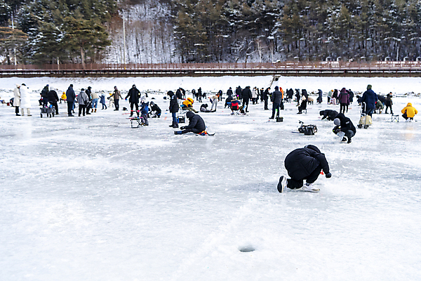 포토 JPG 주간 겨울 사람 이벤트 여러명 야외 얼음 축제 군중 강원도 빙판 얼음낚시 송어축제 지역축제 국내포토 자연요소 계절 다수 낚시 한국 파일형식