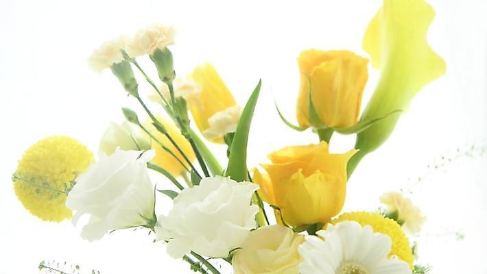 꽃다발 백그라운드 사람없음 노란색 튤립 비디오 물뿌리기 4K MP4 MOV 국내동영상 클립영상 꽃 컬러 모션 동영상 파일형식