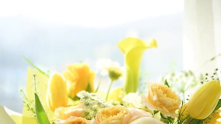 꽃 꽃다발 백그라운드 사람없음 노란색 비디오 4K MP4 MOV 국내동영상 클립영상 식물 컬러 동영상 파일형식