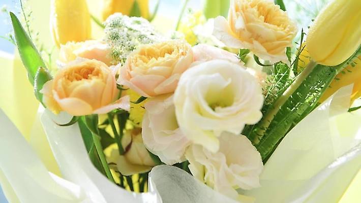 꽃 꽃다발 백그라운드 사람없음 노란색 비디오 4K MP4 MOV 국내동영상 클립영상 식물 컬러 동영상 파일형식