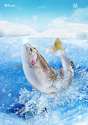 PSD 편집이미지 한마리 사람없음 물 파란색 튀는물 송어 이미지편집 자연요소 1 컬러 어류 액체표현 스플래쉬 파일형식