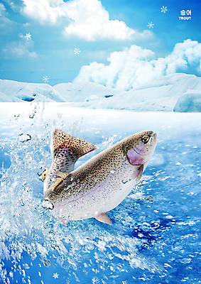 PSD 편집이미지 한마리 사람없음 물 파란색 튀는물 송어 이미지편집 자연요소 1 컬러 어류 액체표현 스플래쉬 파일형식